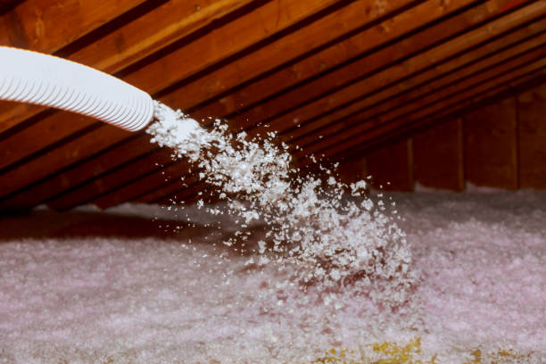 Best Wall Insulation Contractor  in Ravenna, MI